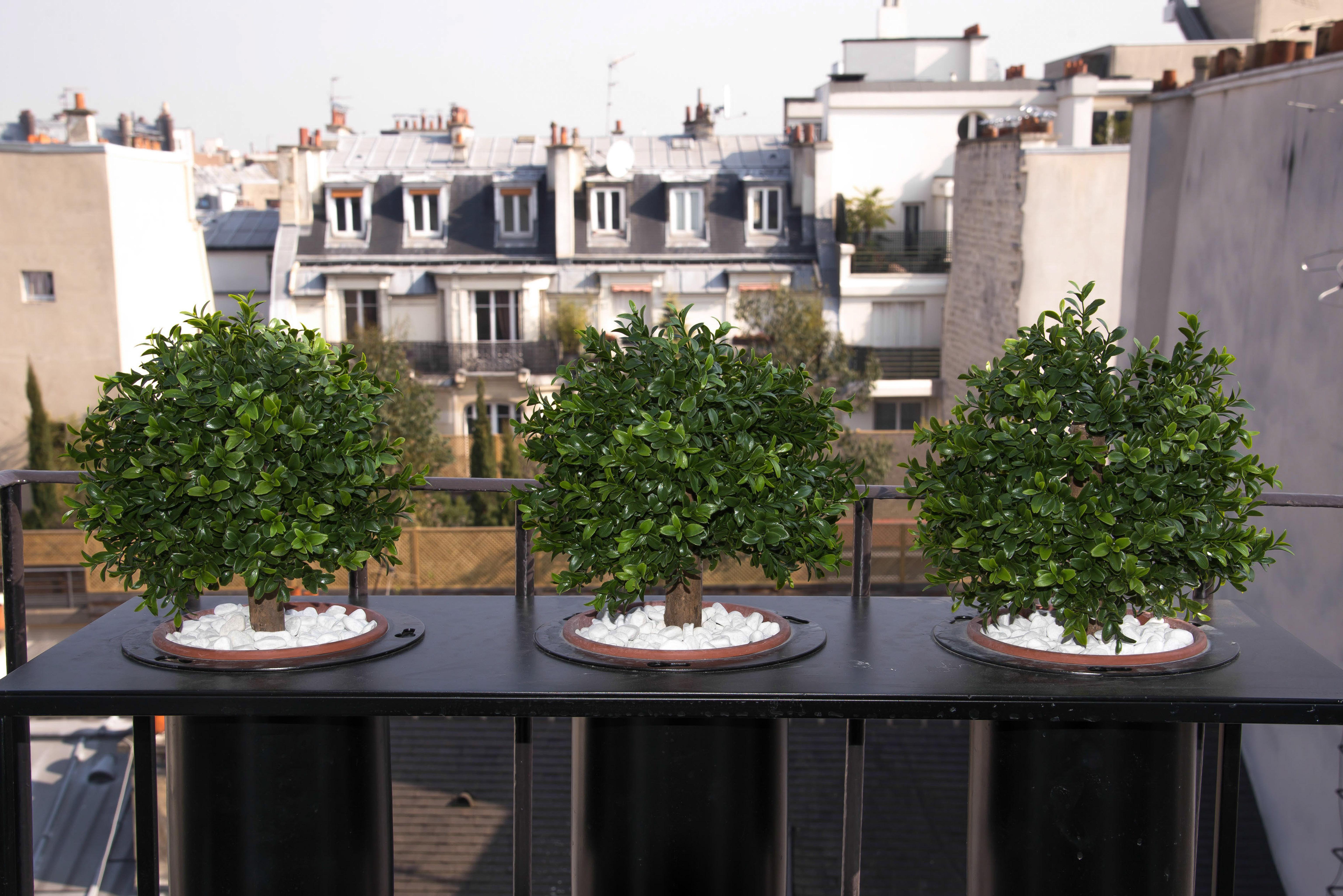 Zelie Hotel Paris
